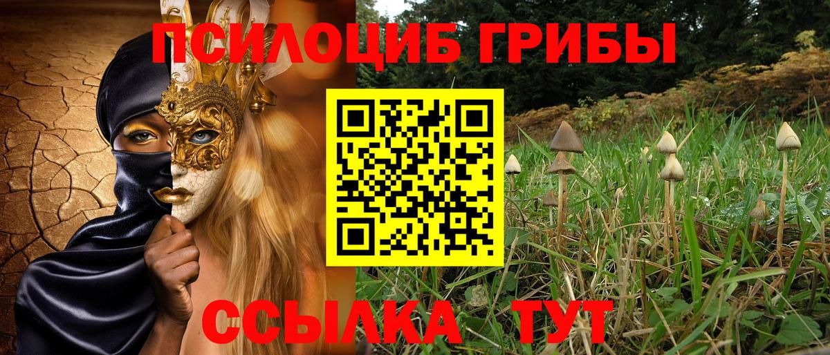 Галлюциногенные грибы Magic Shrooms  наркотики  Якутск  Псилоцибиновые грибы прущие грибы  Вход с VPN 